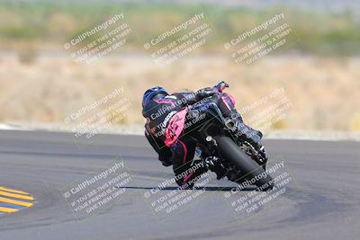 media/Oct-09-2022-SoCal Trackdays (Sun) [[95640aeeb6]]/Turn 14 Backside (1125am)/